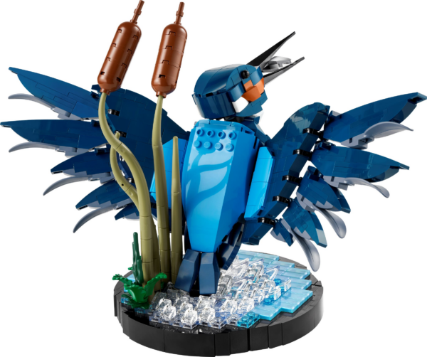 IJsvogel