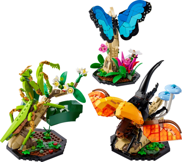 De insectencollectie