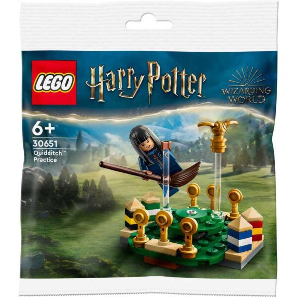 Harry Potter - Zwerkbal training Constructiespeelgoed