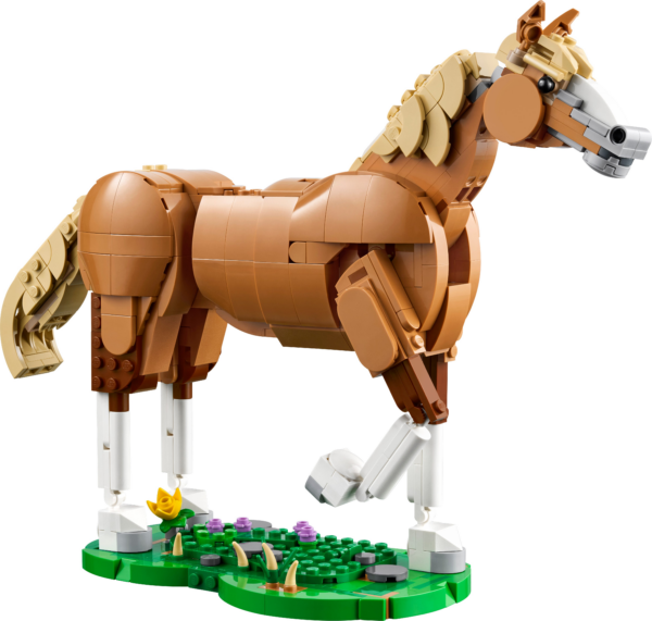 Prachtig paard
