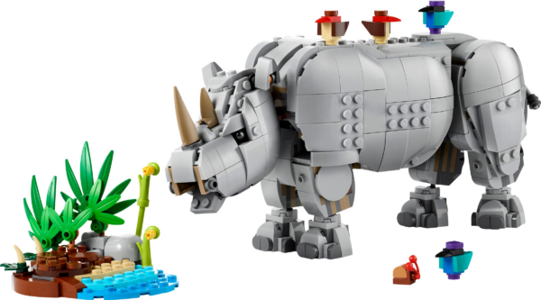 Wilde dieren: machtige neushoorn met vogels