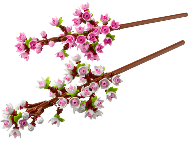 Kersenbloesems